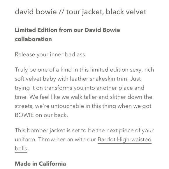 BOWIE STONED IMMACULATE X DAVID BOWIE VELVET TOUR JACKET SOLD OUT !! Unisex NWOT - Picture 7 of 8